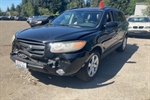 2007 Hyundai Santa Fe