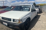1989 Isuzu Pickup
