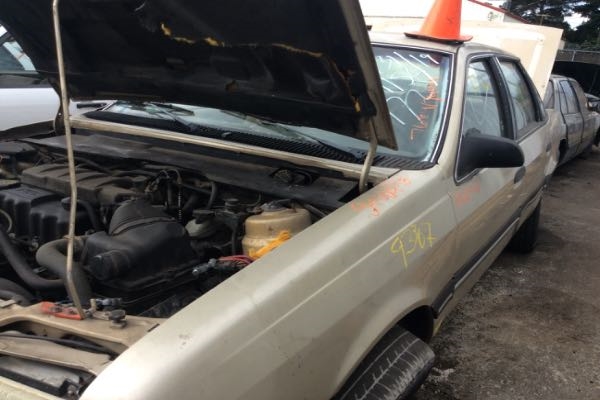 row52 1991 ford tempo at pick n pull vancouver 1fapp36x8mk193367 row52