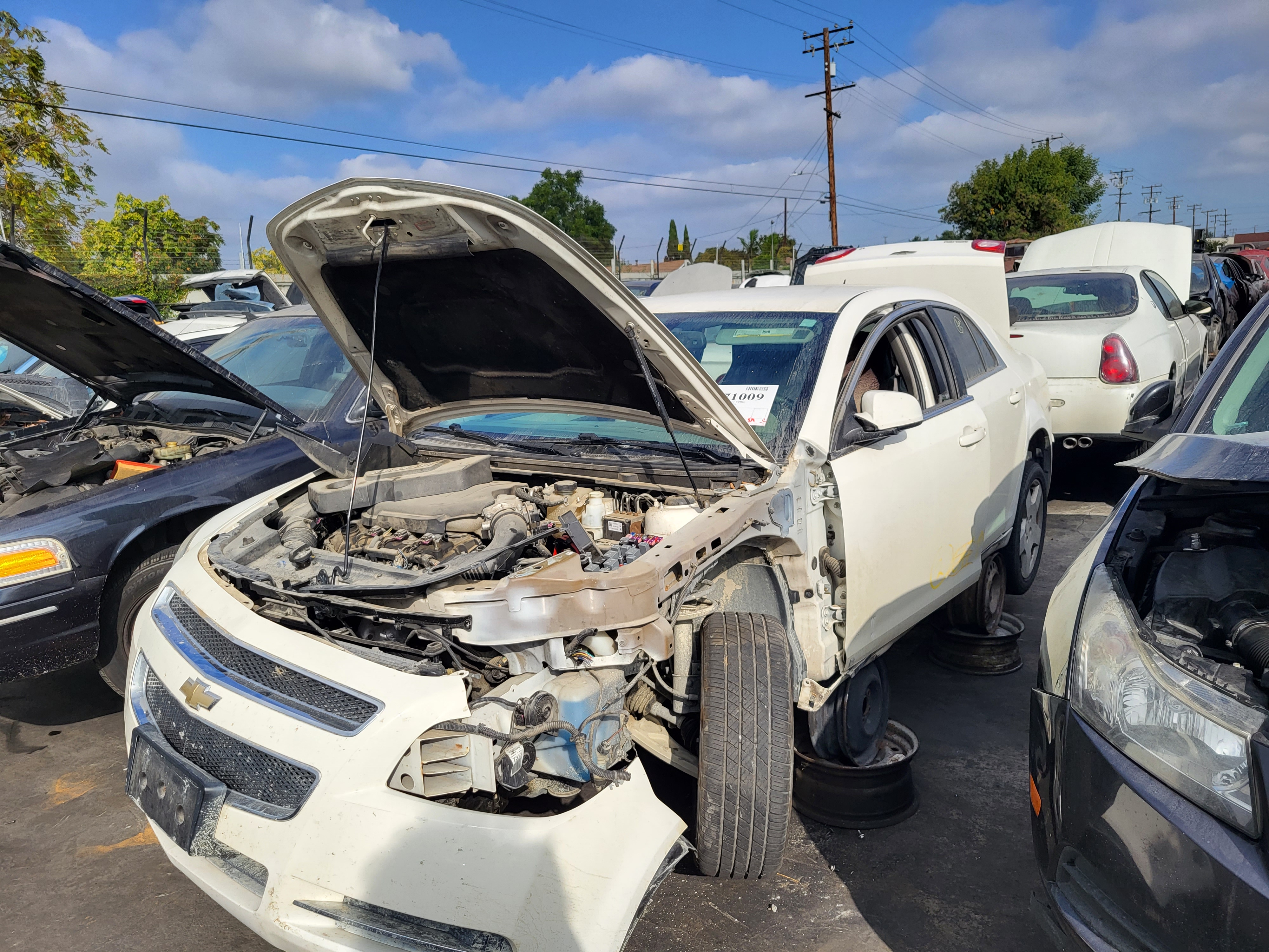 Row52 | 2008 Chevrolet Malibu at Samson Auto Salvage U-pick parts