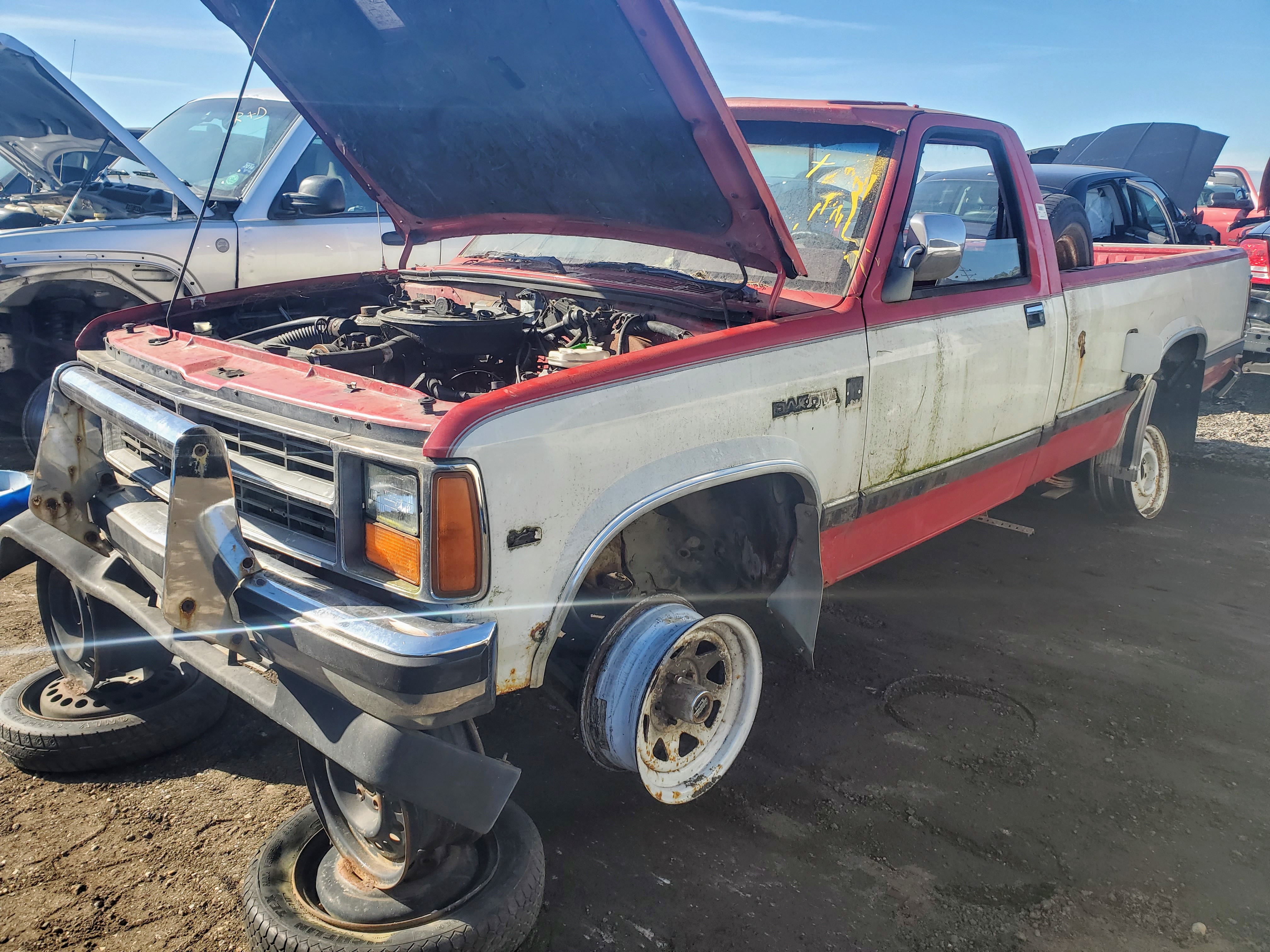 row52 1987 dodge dakota at fox auto u pull 1b7fn14m3hs497091 row52 1987 dodge dakota at fox auto u